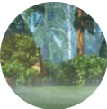 reviews-item_img